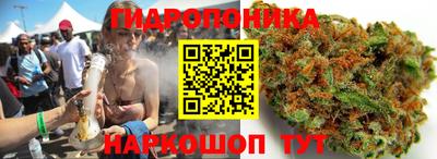 ПСИЛОЦИБИНОВЫЕ ГРИБЫ Заволжье