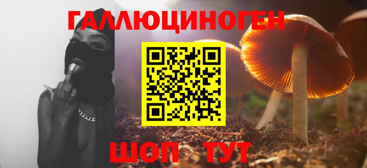 Ефремов  Галлюциногенные грибы мицелий  Вход с VPN 