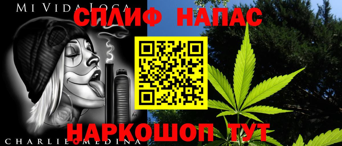 Ефремов  Бошки Шишки White Widow  Вход с VPN  Бошки марихуана тримм  Конопля сатива 